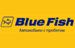 Rasprodaga.ru :blue fish