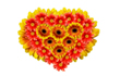 Rasprodaga.ru :flowerfest.ru