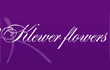 Rasprodaga.ru :klever flowers